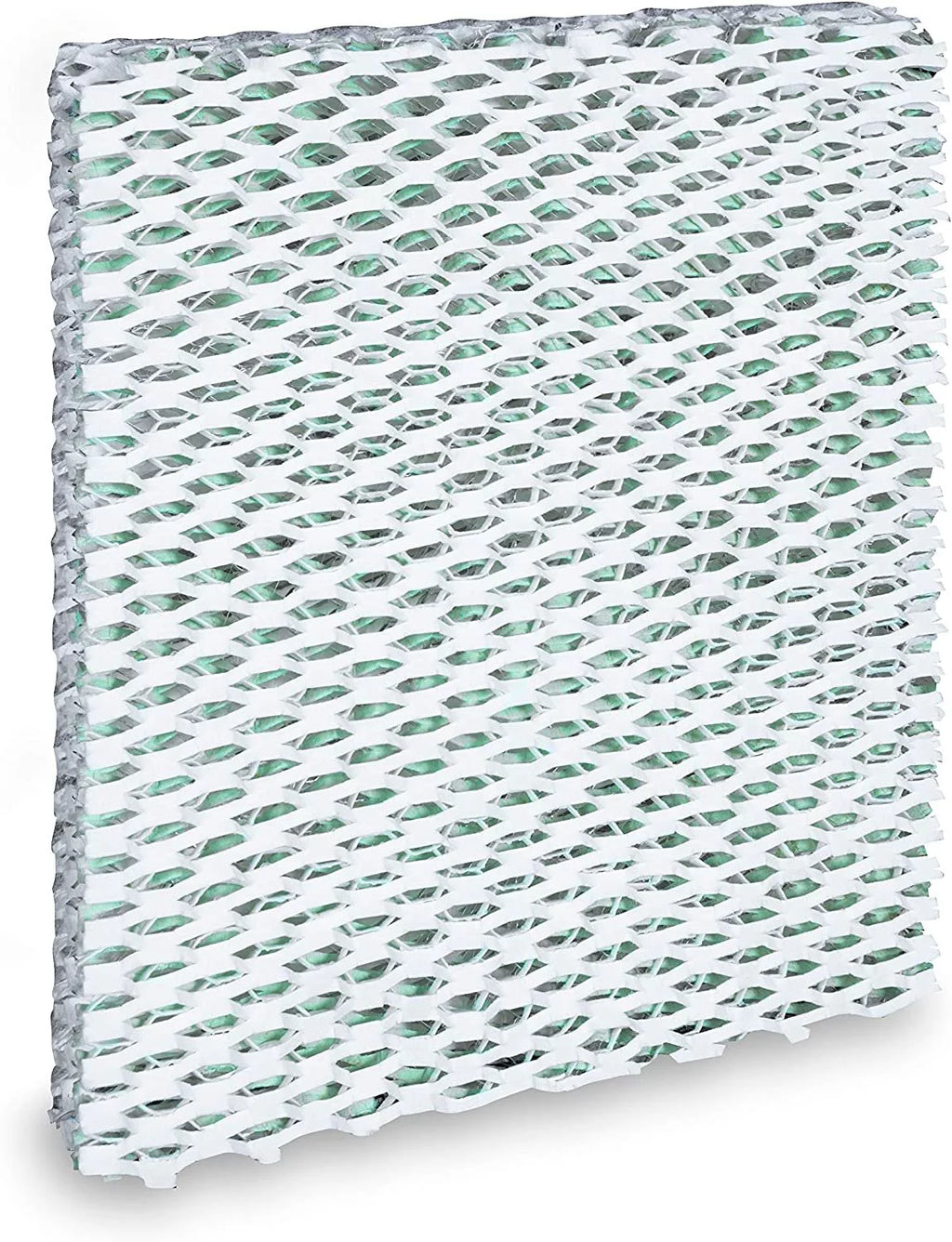 Humidifier Wick Filter Single Pack K9119
