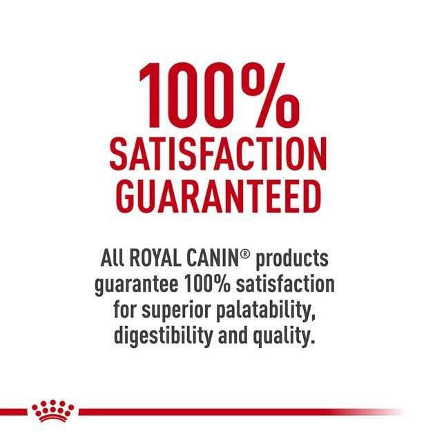 Adult Dry Cat Food V842