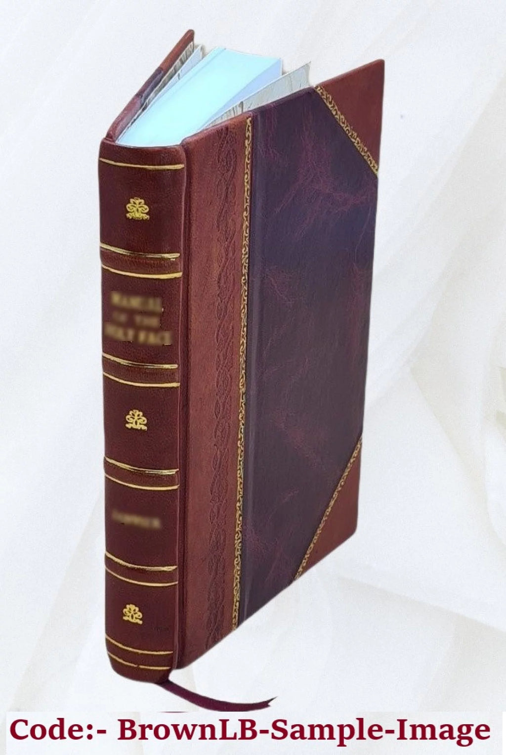 Novel Volume 2 Leather Bound V858