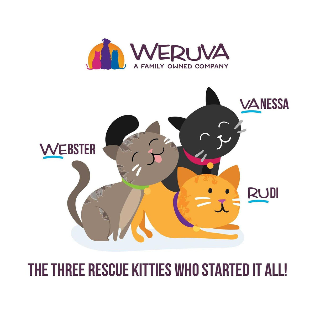 Wet Cat Food Pouches G1022