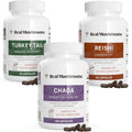 Mushroom Extract Capsules M622