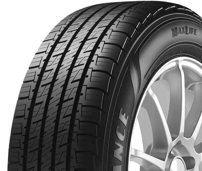 All-Season Tire W255