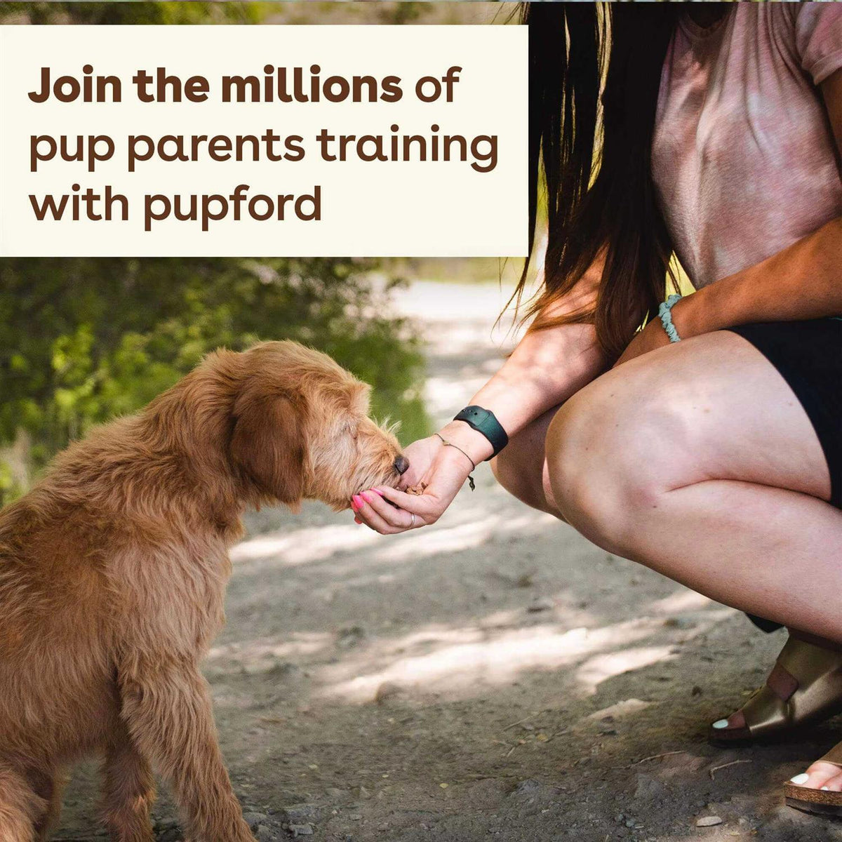 Freeze Dried Training Dog Treats F320612