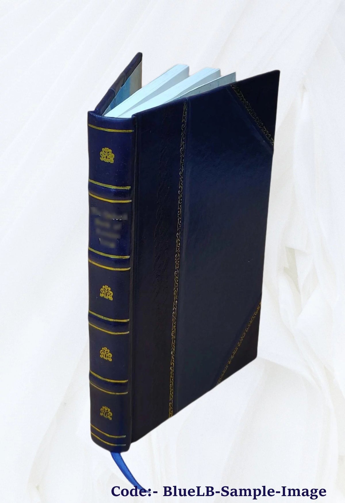 Novel Volume 2 Leather Bound V858
