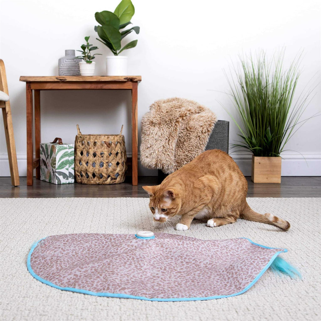 Cat Toy K832