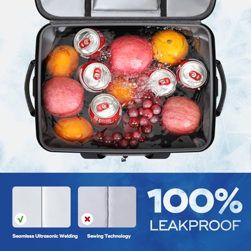 Collapsible Insulated Cooler Bag U30652