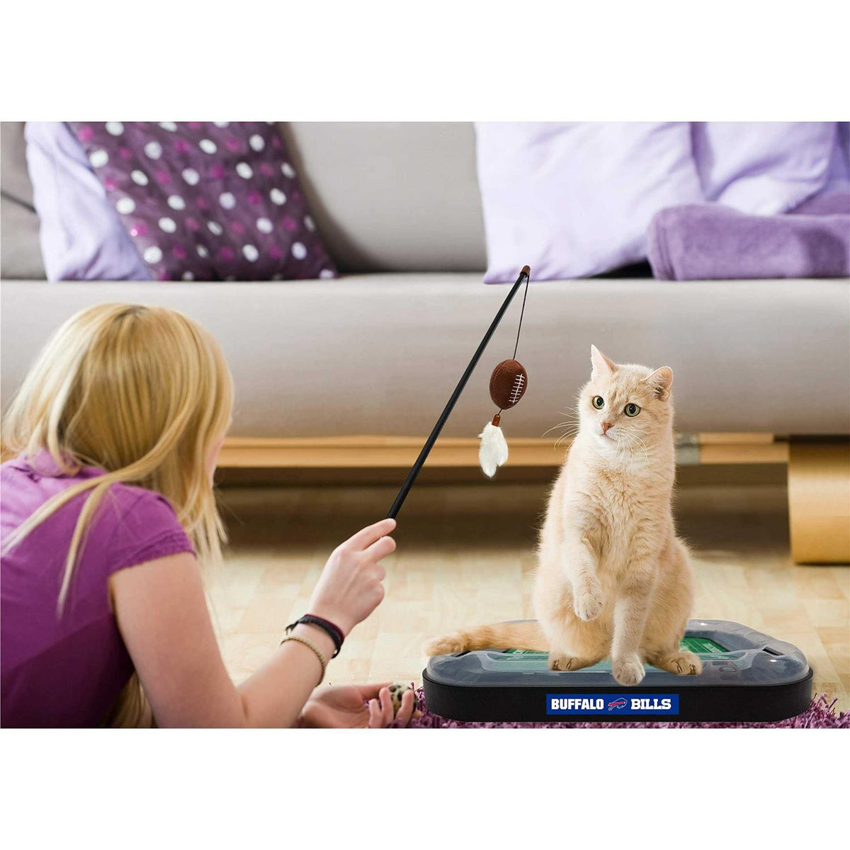 Cat Scratcher T729