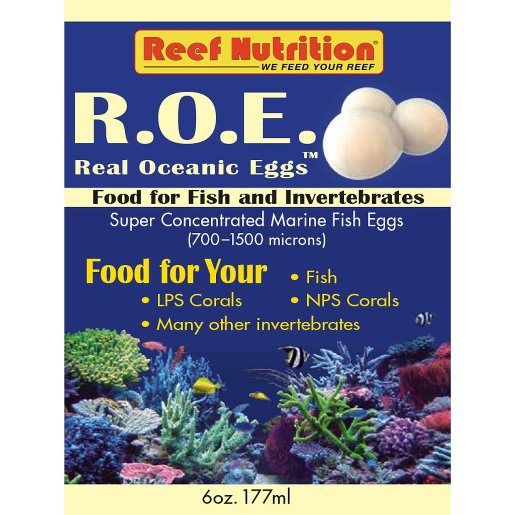 Real Oceanic Eggs R8932