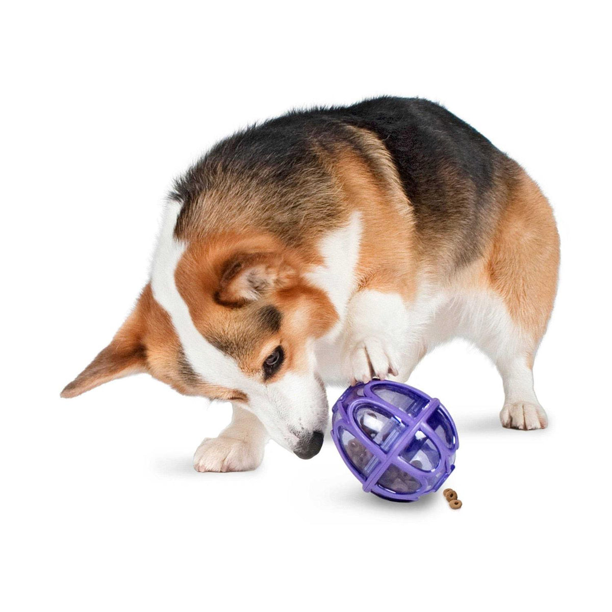 Kibble Nibble Dog Toy W496344