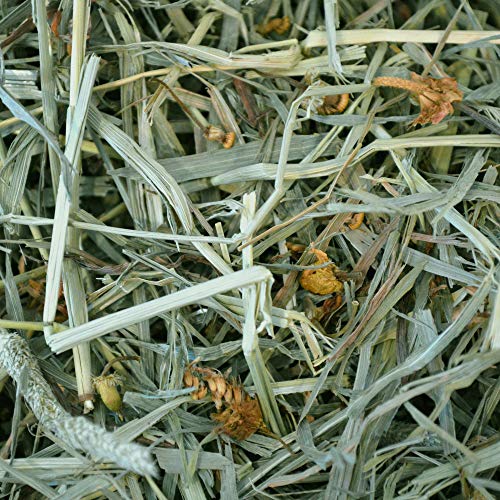 All Natural Western Timothy Hay - 15 oz. O548392