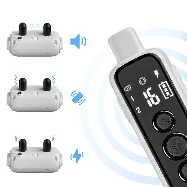 Remote Training Collar for Dogs F711