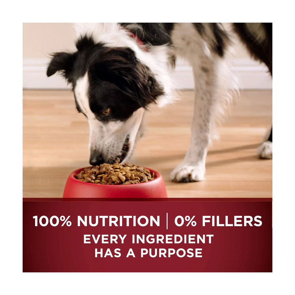 Turkey and Venison Dry Dog Food 7.4 lb Bag Pack of 16 M342385