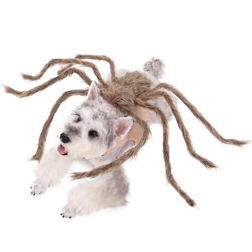 Large Black Dog Cat Costume with 8 Legs Y6888