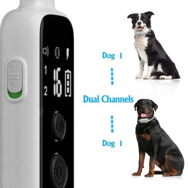Remote Training Collar for Dogs F711