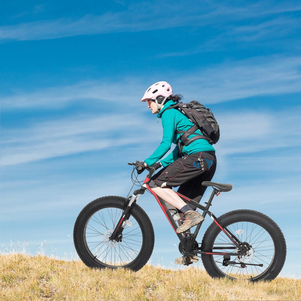 26 Fat Tire Mountain Bike 21 Speed High Carbon Steel Frame M2119