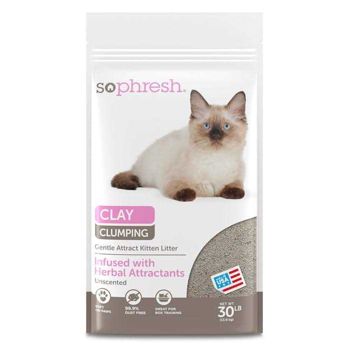 Scoopable Kitten Litter X674278