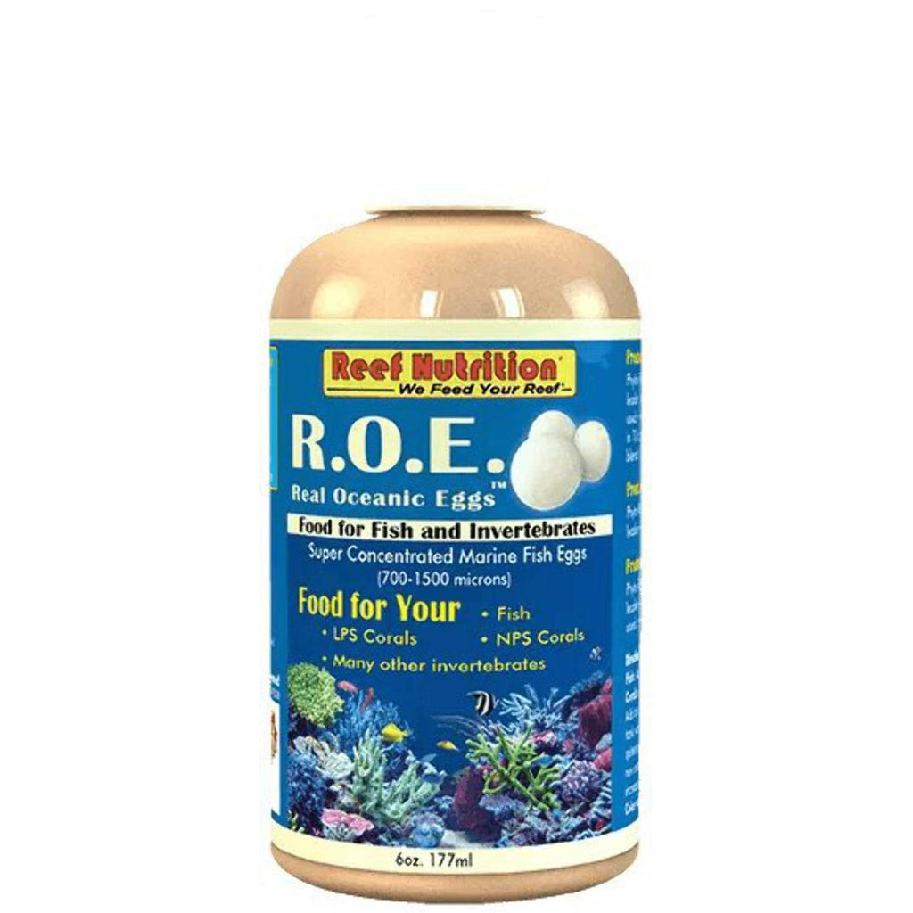 Real Oceanic Eggs R8932