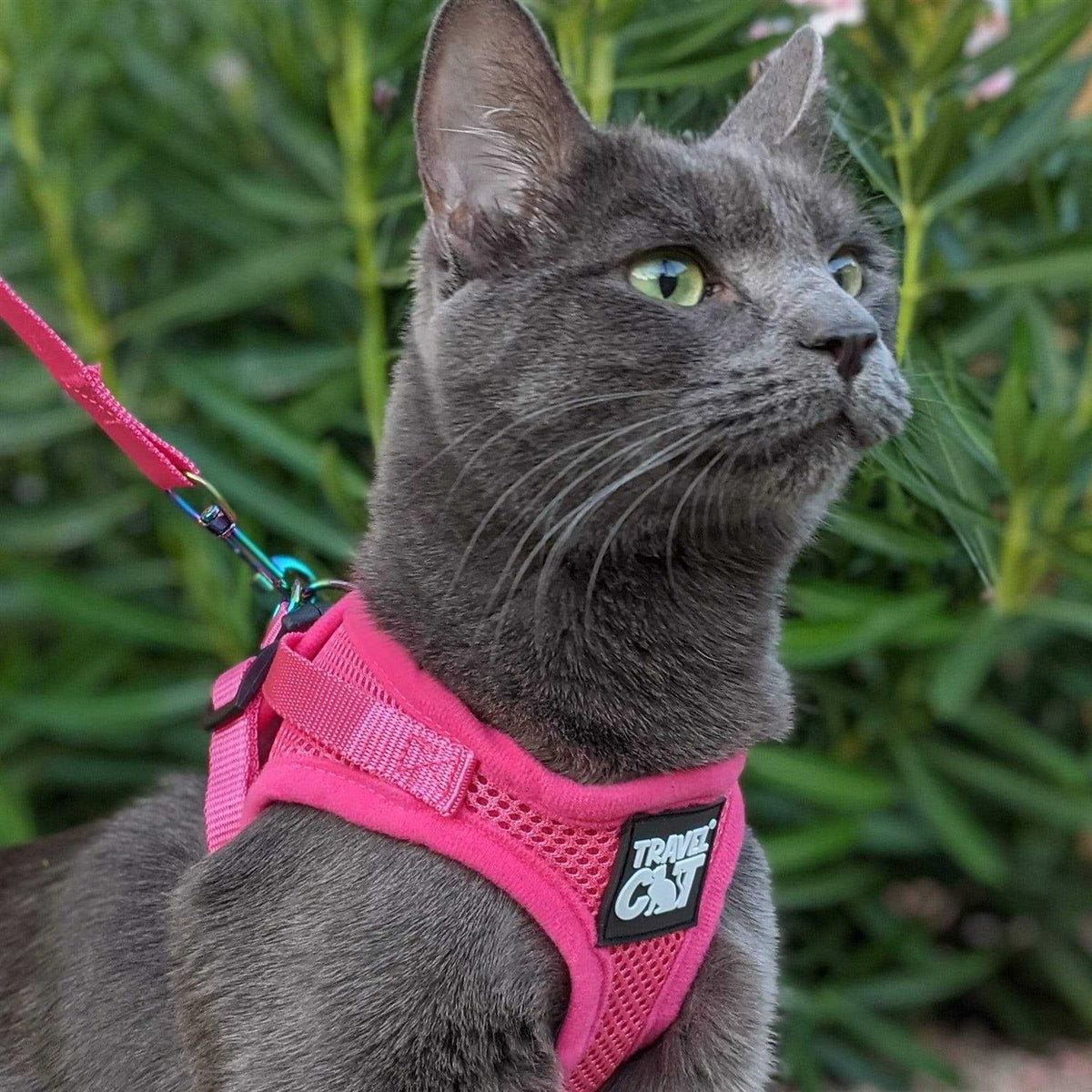 Reflective Cat & Kitten Harness and Leash A867226
