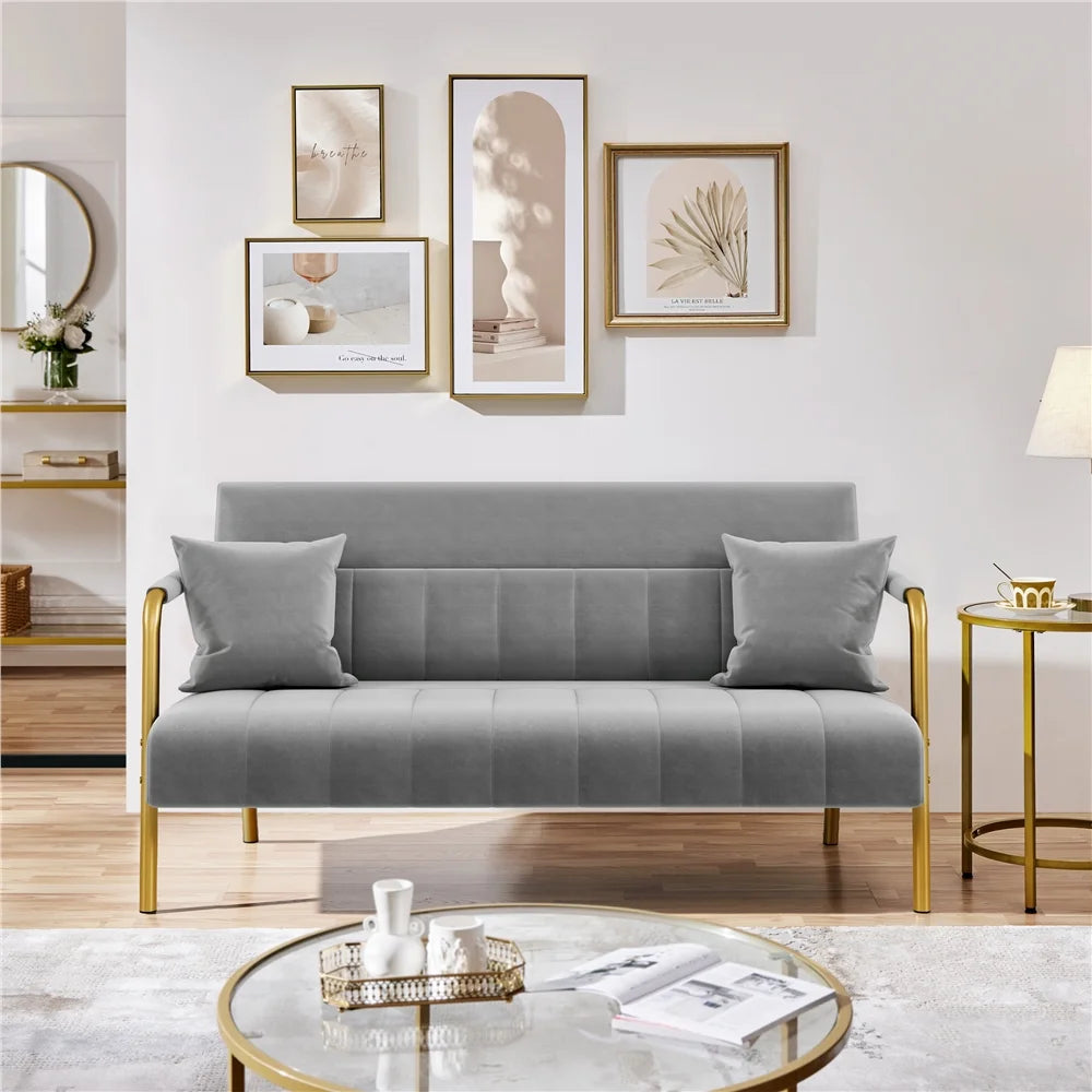 Light Gray Upholstered Sofa with 2 Pillows M110