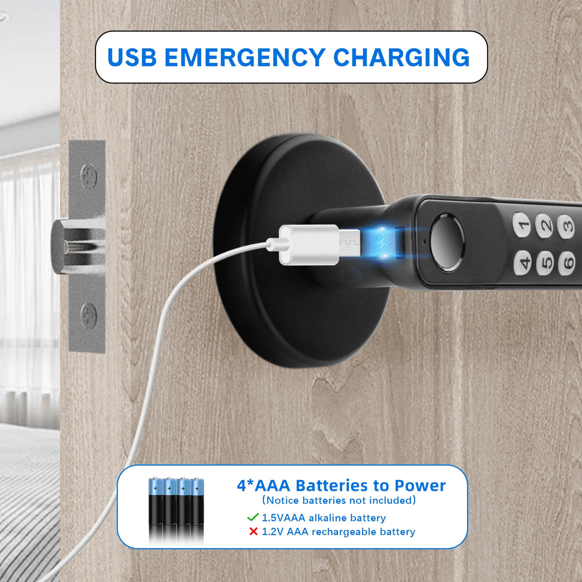Fingerprint Keyless Entry Door Lock with Keypad P937