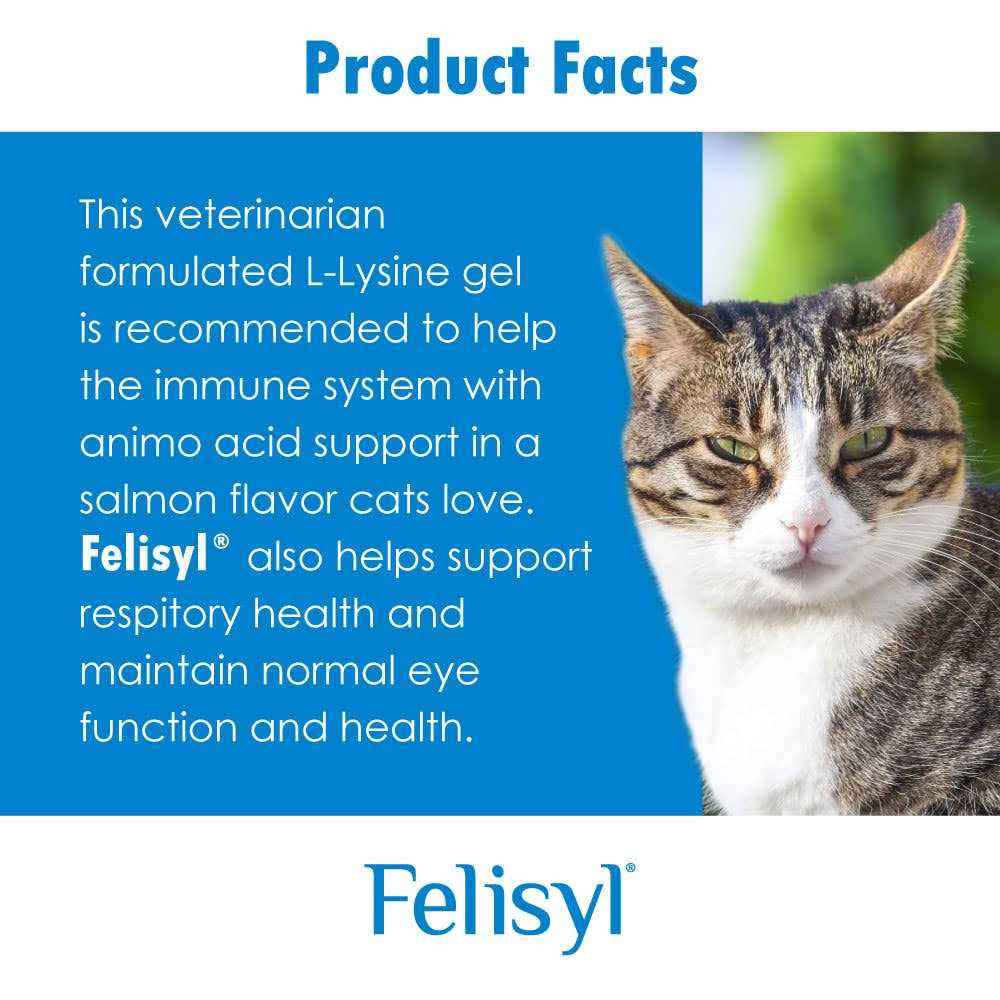 L-Lysine Granules for Cats J310