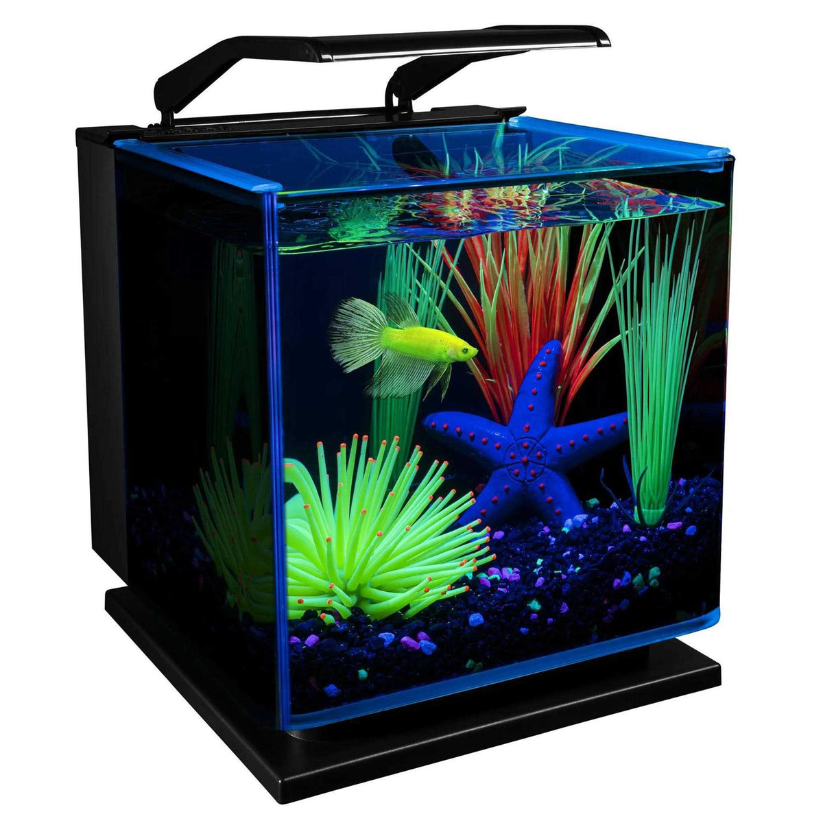 Betta Fish Aquarium Kit R5418