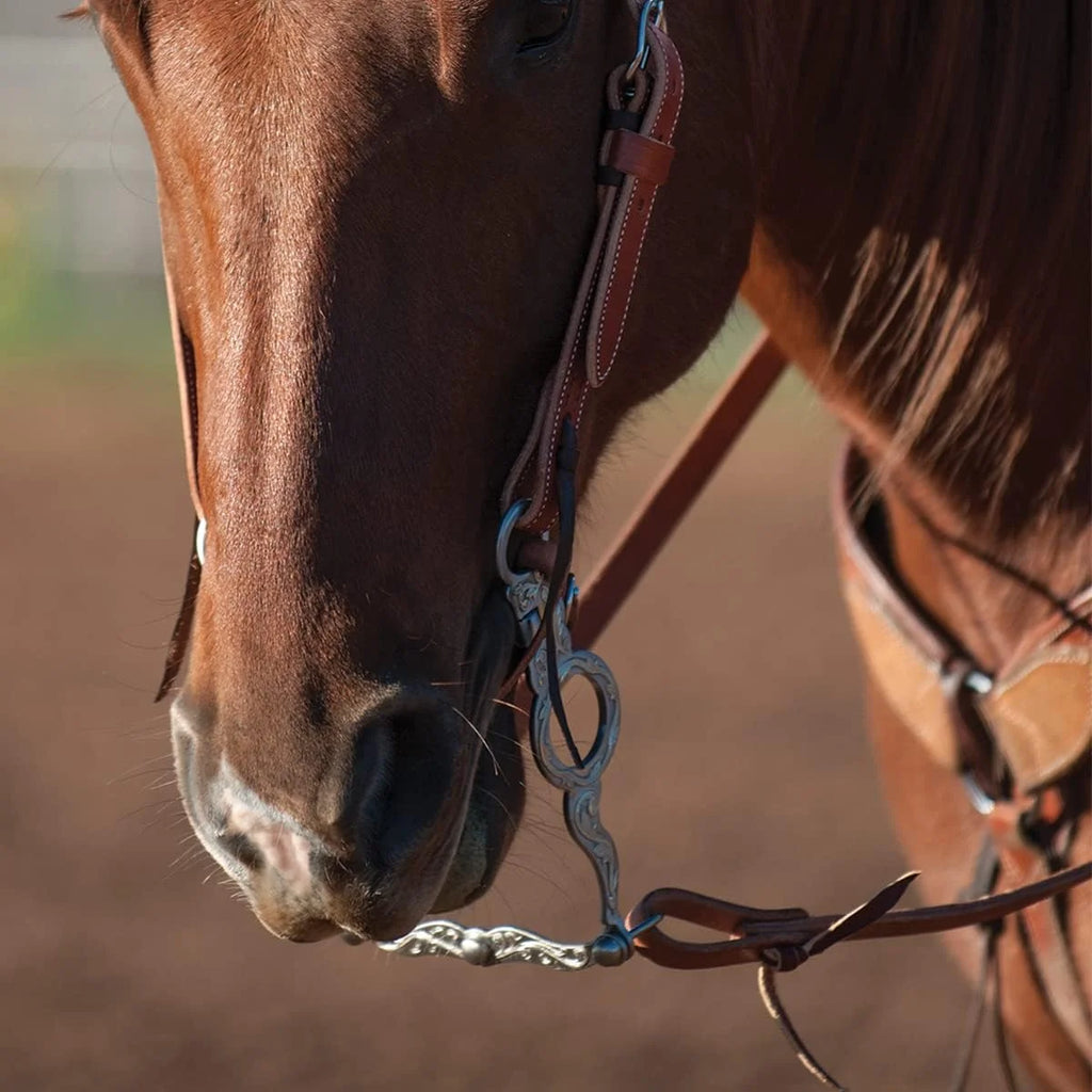 7.25-Inch Flat Port Cowhorse Bit L91000