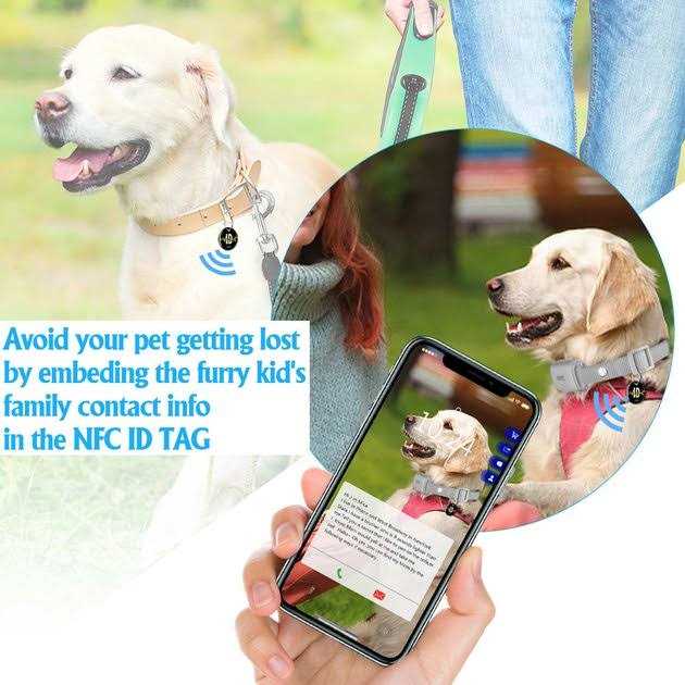 Remote Training Collar for Dogs F711