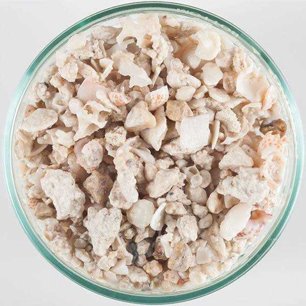Crushed Coral P16235