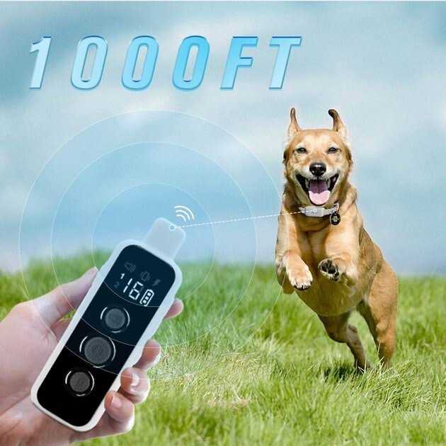 Remote Training Collar for Dogs F711