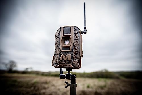 Cellular 24MP Imaging Y110443