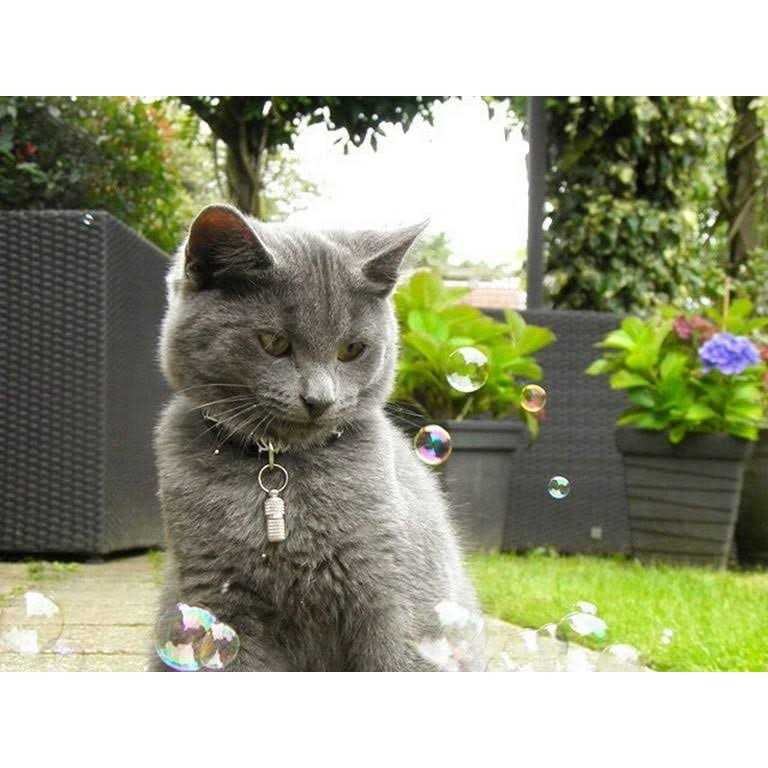Cat Incredibubbles U15747