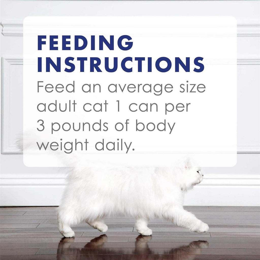 Wet Cat Food D943