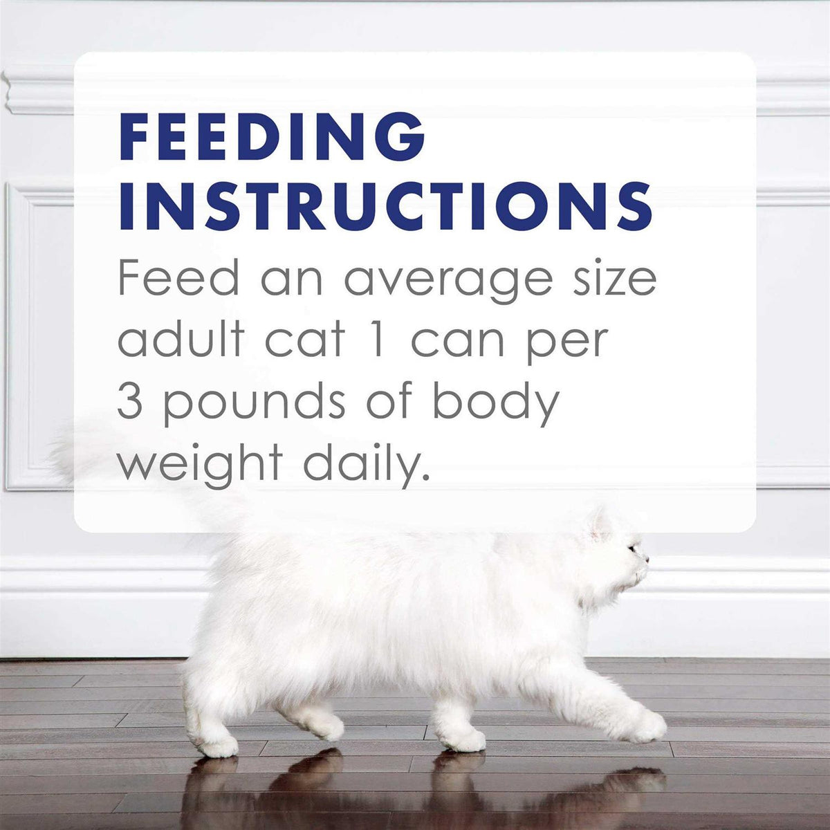 Wet Cat Food D943