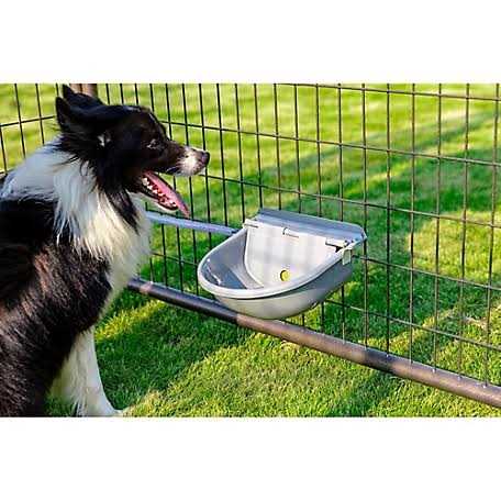 Pet Gazebo Automatic Waterer B610