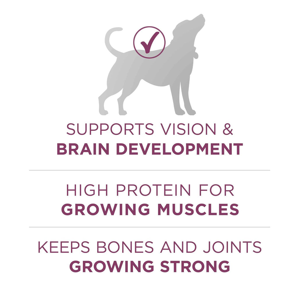 High Protein Dry Dog Food T171699