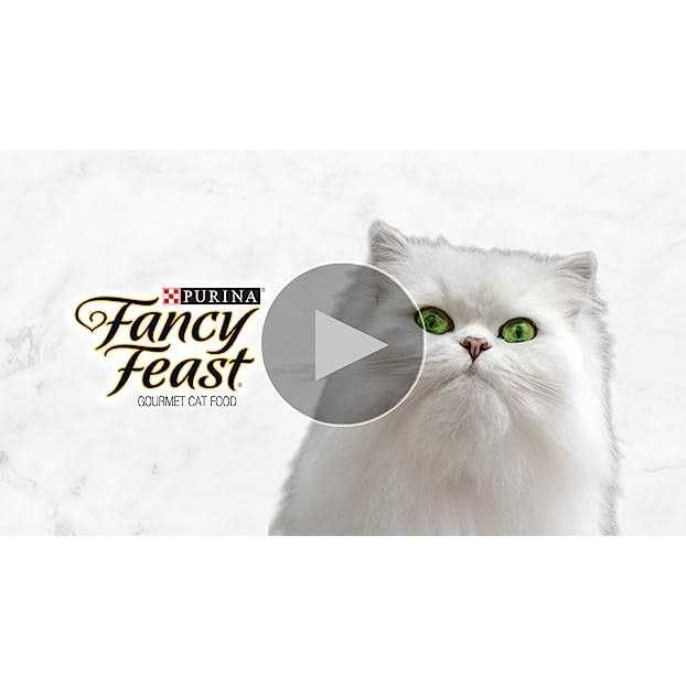 Wet Cat Food D943