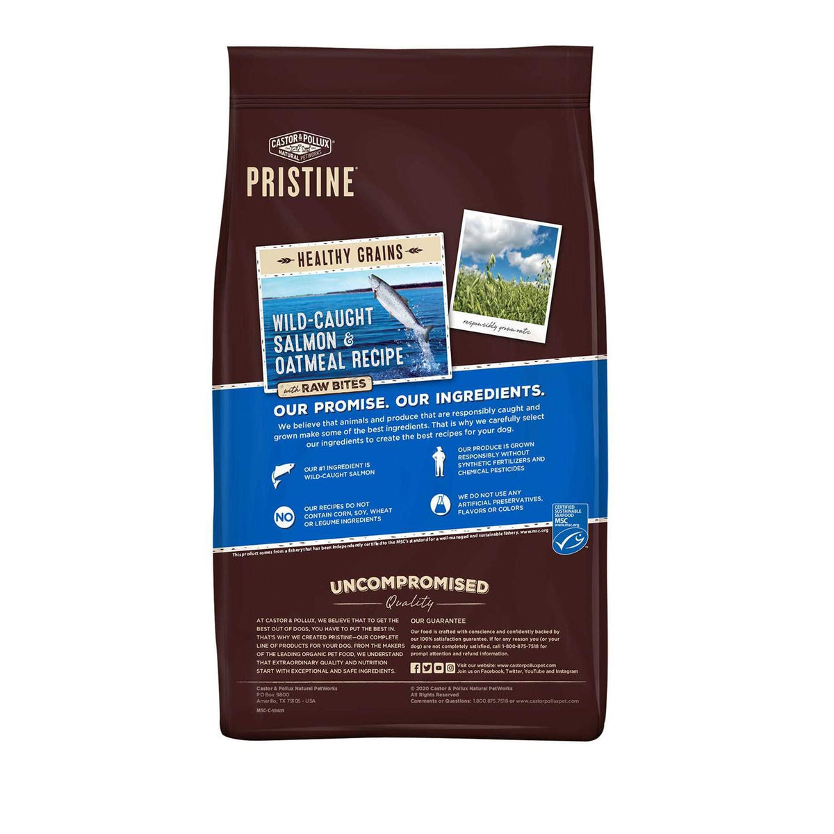 Wild Caught Salmon & Oatmeal Dog Food L416723