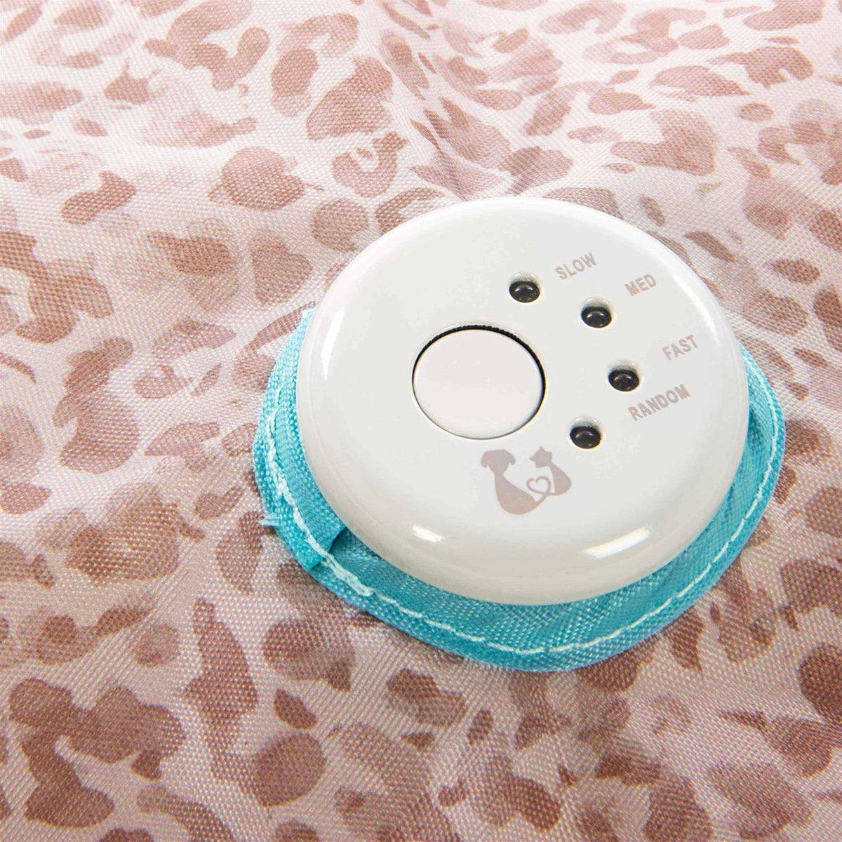 Cat Toy K832