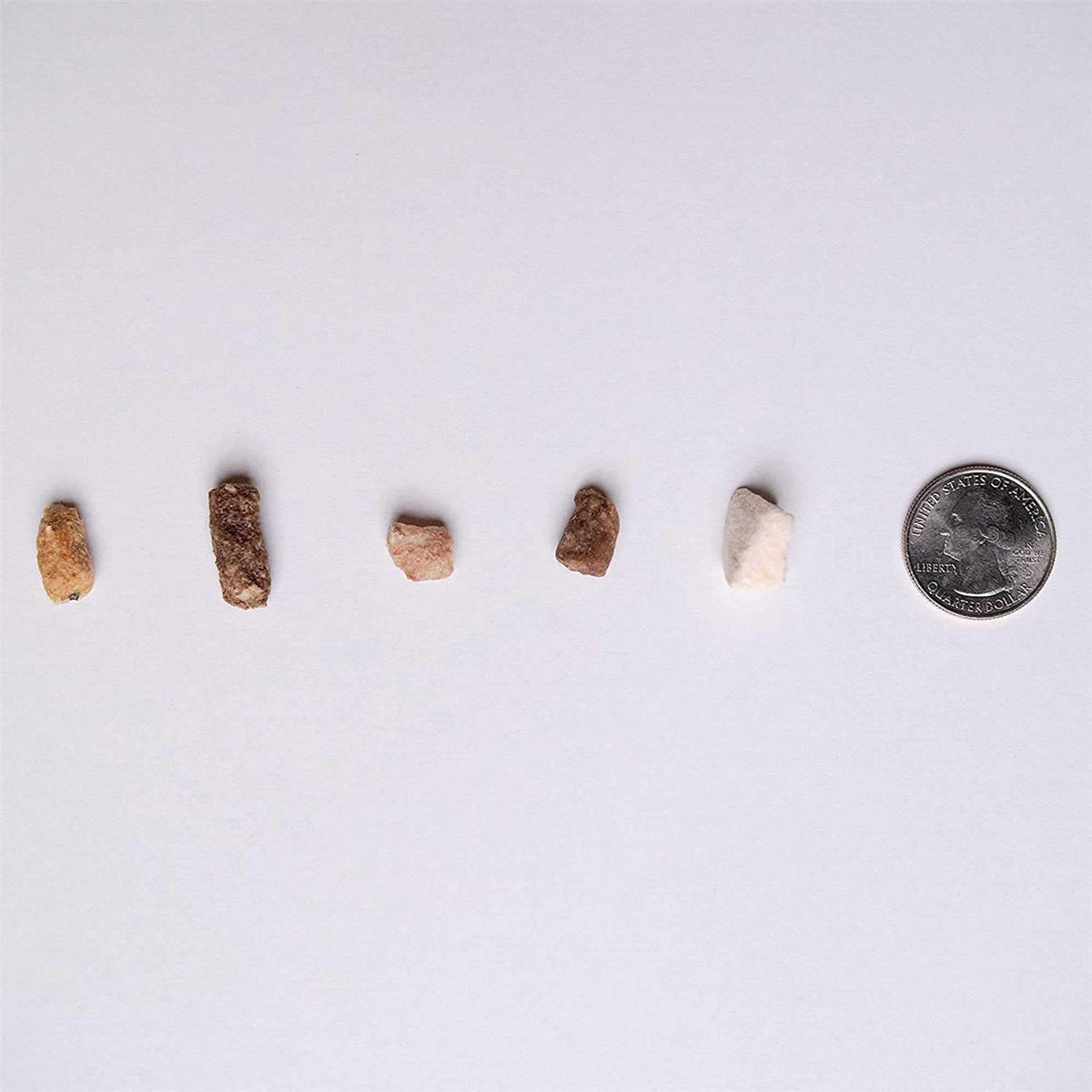 Freeze Dried Training Dog Treats F320612