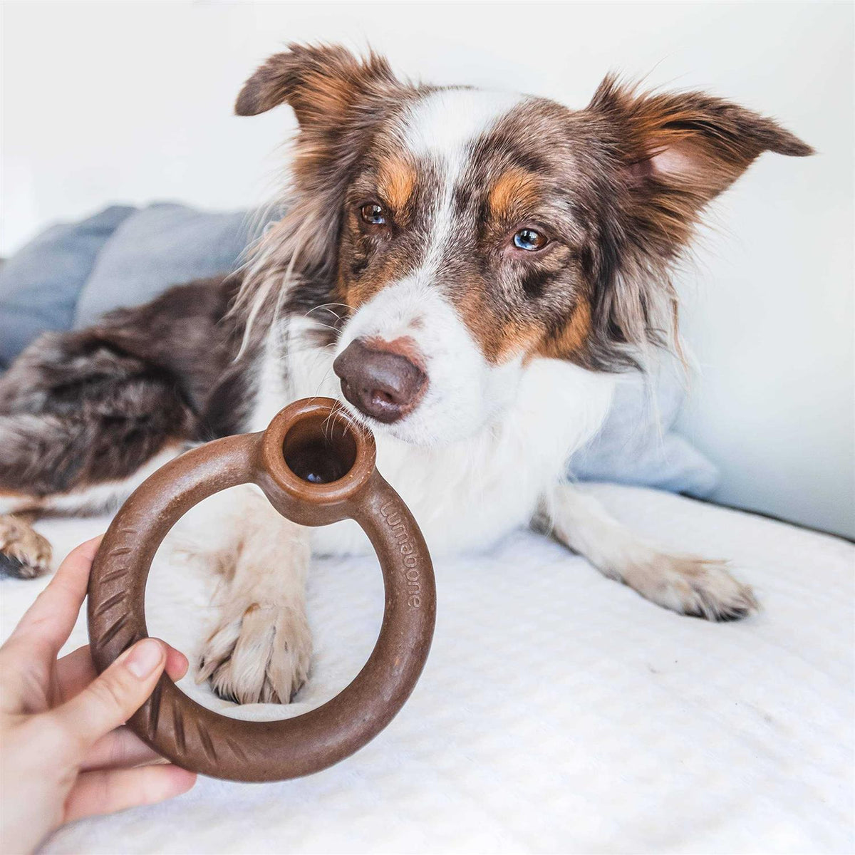 Durable Chew Toy for Aggressive Chewers R3703