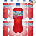 Fruit Juicy Red 20oz Bottle (Pack of 8) N2777