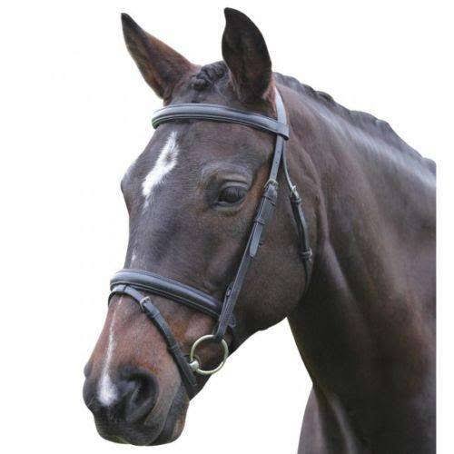 Black Padded Flash Bridle O52812