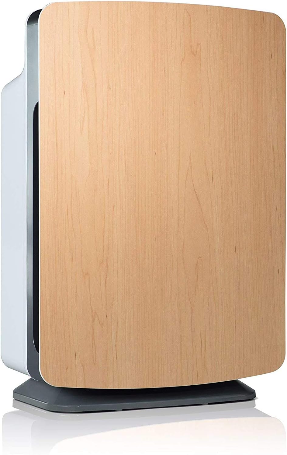 Large Room Air Purifier with H13 True HEPA Q481