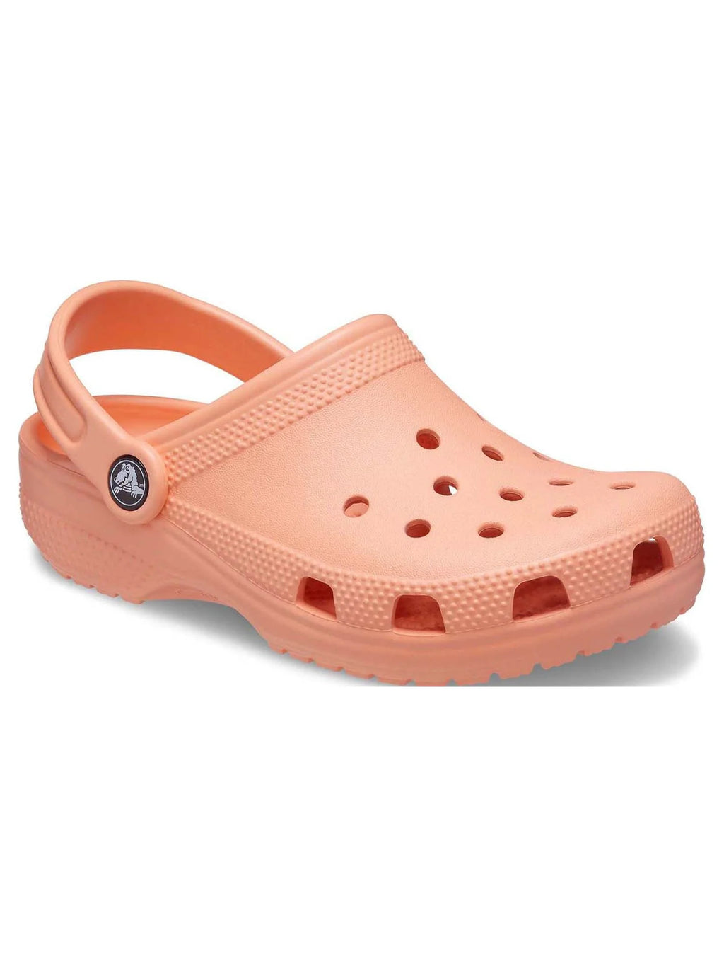 Toddler & Kids Classic Clog J652207