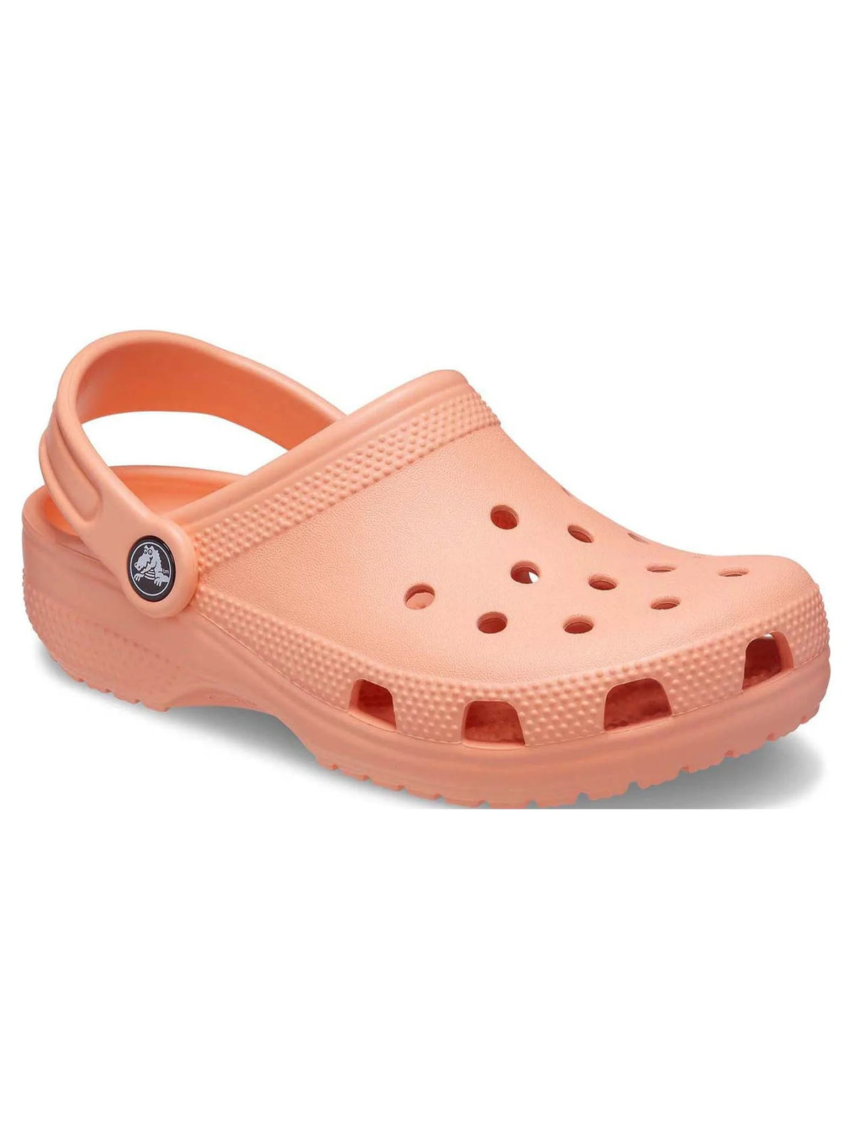 Toddler & Kids Classic Clog J652207