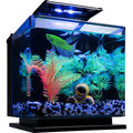 Betta Fish Aquarium Kit R5418